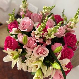 Meet your Posher, Elena